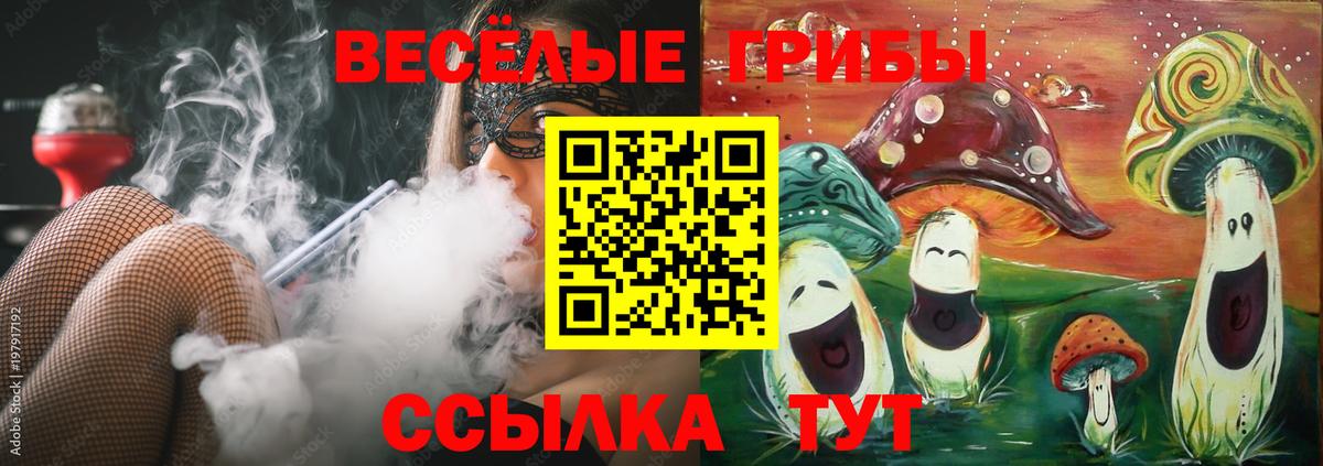 Псилоцибиновые грибы Cubensis  Вход с VPN  Сызрань  Псилоцибиновые грибы MAGIC MUSHROOMS 